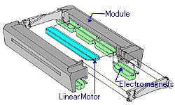 Structure of Module